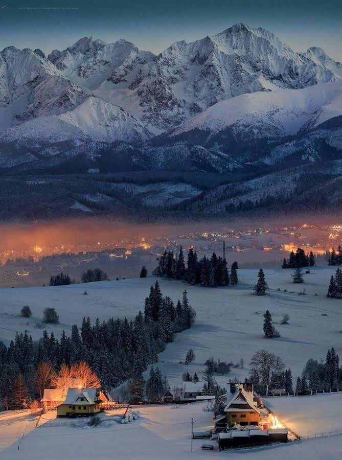 Willa 14 Zakopane Exterior foto